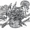 Harvesteri