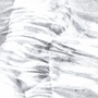Torso