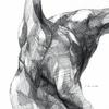 Maybe horse