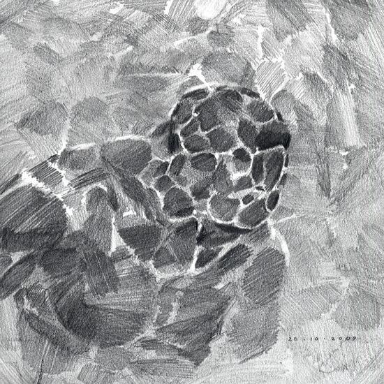 Crackle