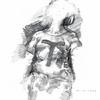T-shirt torso
