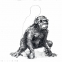 Some kind of monkey