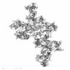 Stringy theory