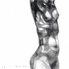 Torso