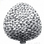 Cone tree
