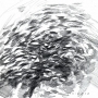 Burst