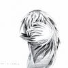 Furrie
