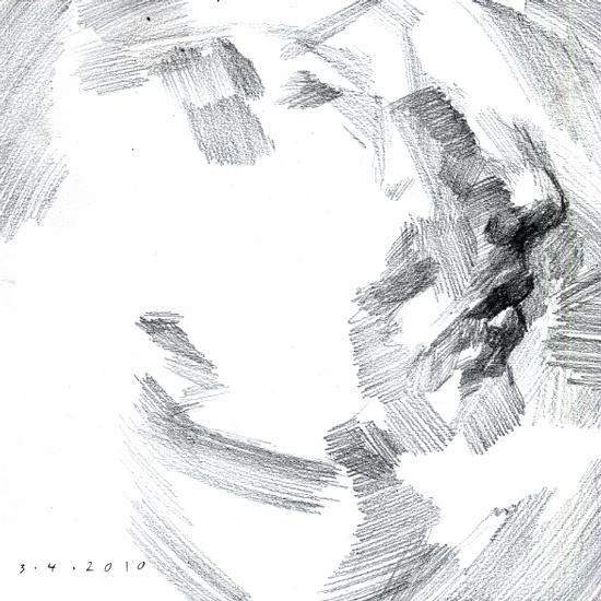 Pareidolia portrait