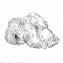 Wrinkled object