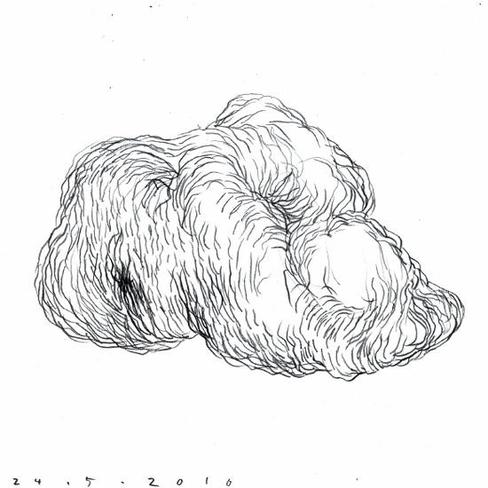 Wrinkled object