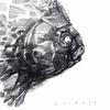 Earless fossil